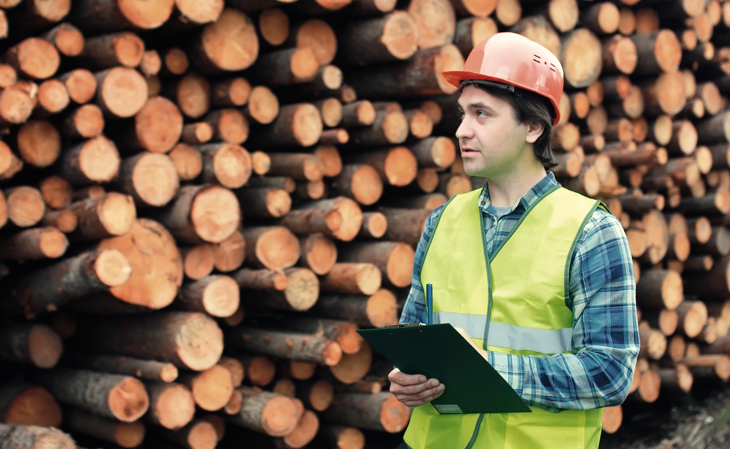 Worker in helmet counts wood lumber
