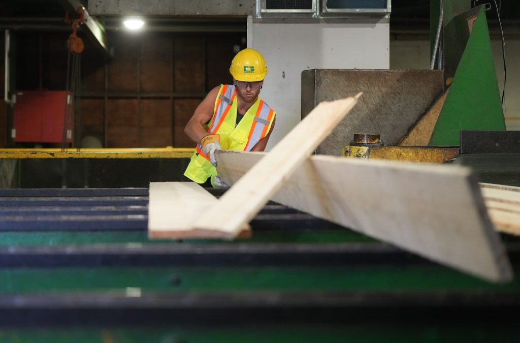 A worker sorts lumber at the Gorman Brothers Lumber sawmill, in West Kelowna, B.C., on Tuesday, August 5, 2025. THE CANADIAN PRESS/Darryl Dyck